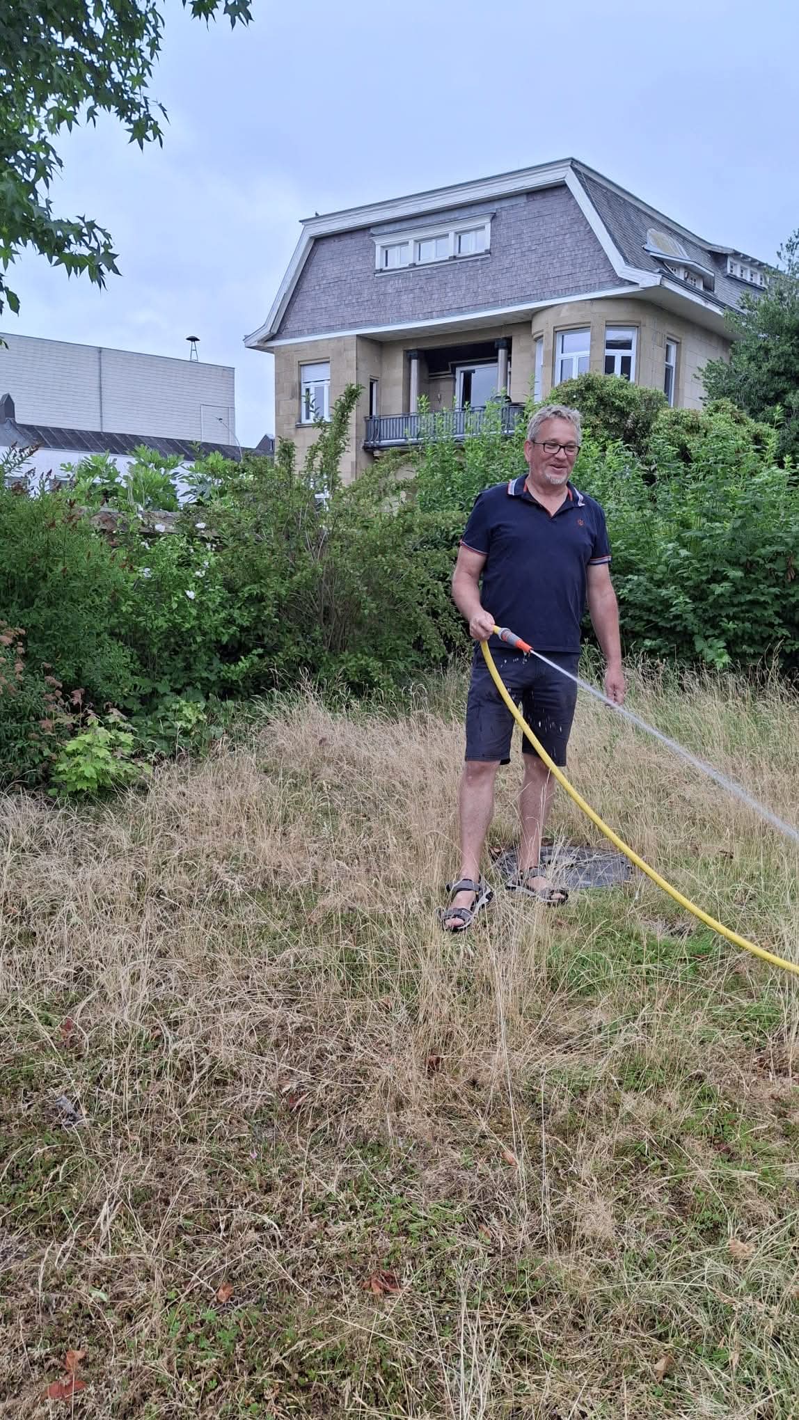 Auch eine „Blühwiese“ braucht manchmal Wasser!