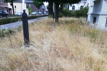 Hoffentlich keine Dürre wie die im Jahr 1540