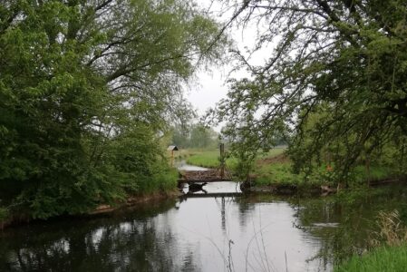 Sorge um die Ressource Wasser