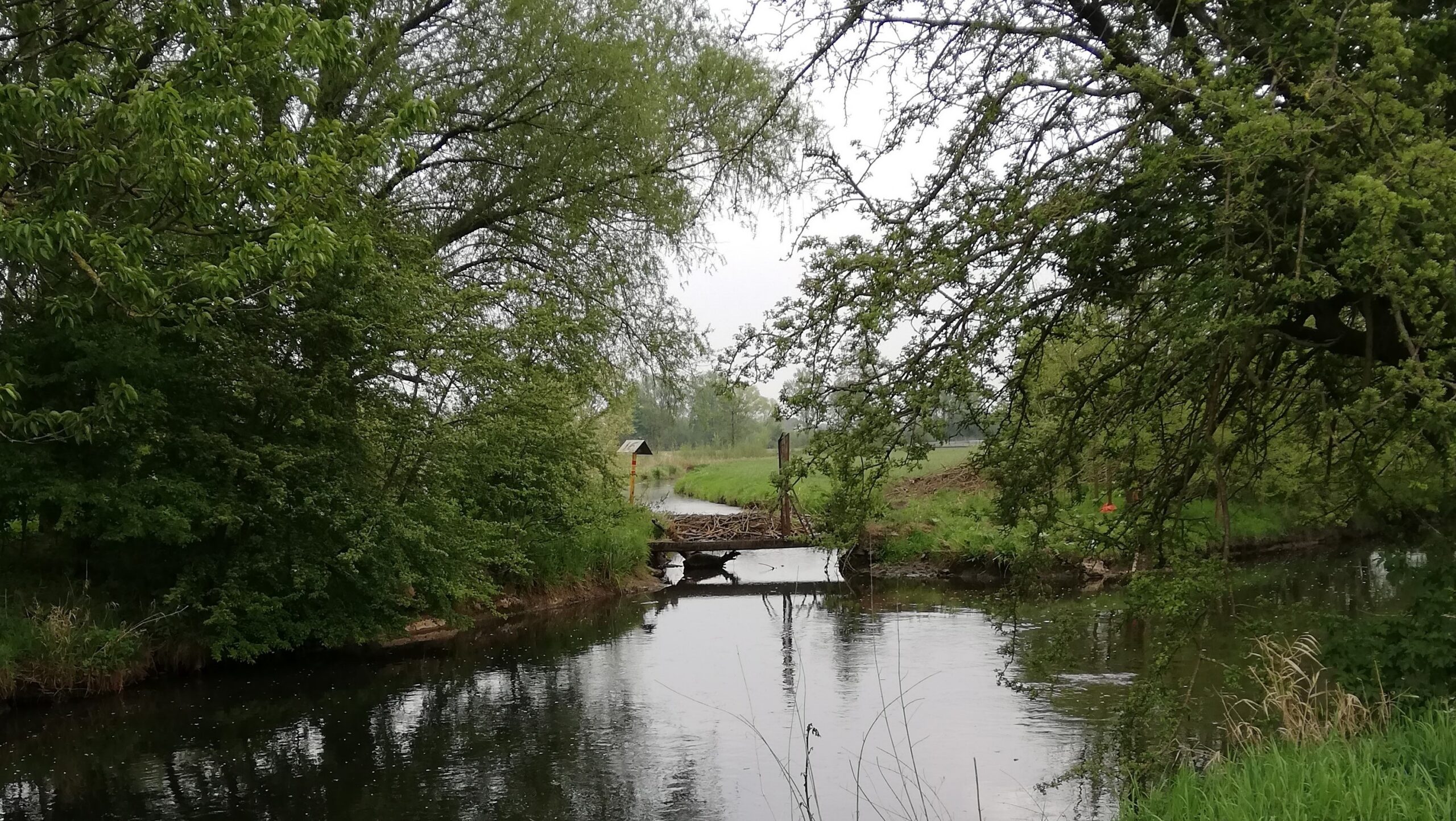 Sorge um die Ressource Wasser